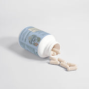 Brain & Focus Formula
